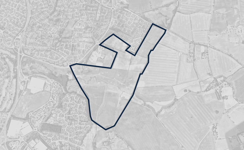 Greyscale aerial image of a plot of land, outlined in dark blue.