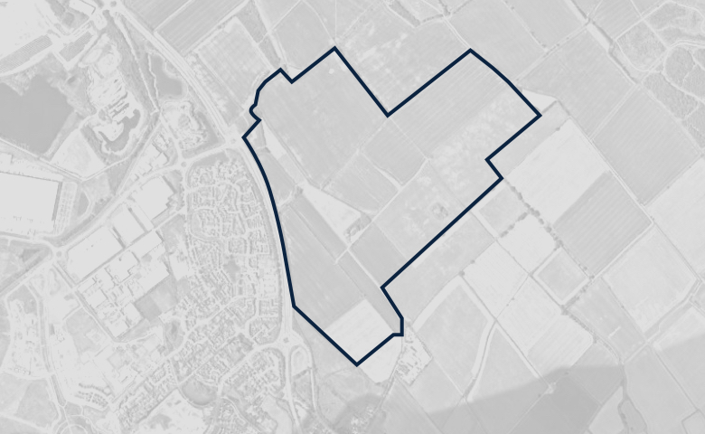 Greyscale aerial image of a plot of land, outlined in dark blue.